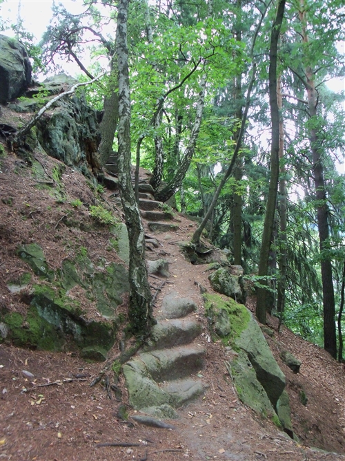 Obrázek v galerii